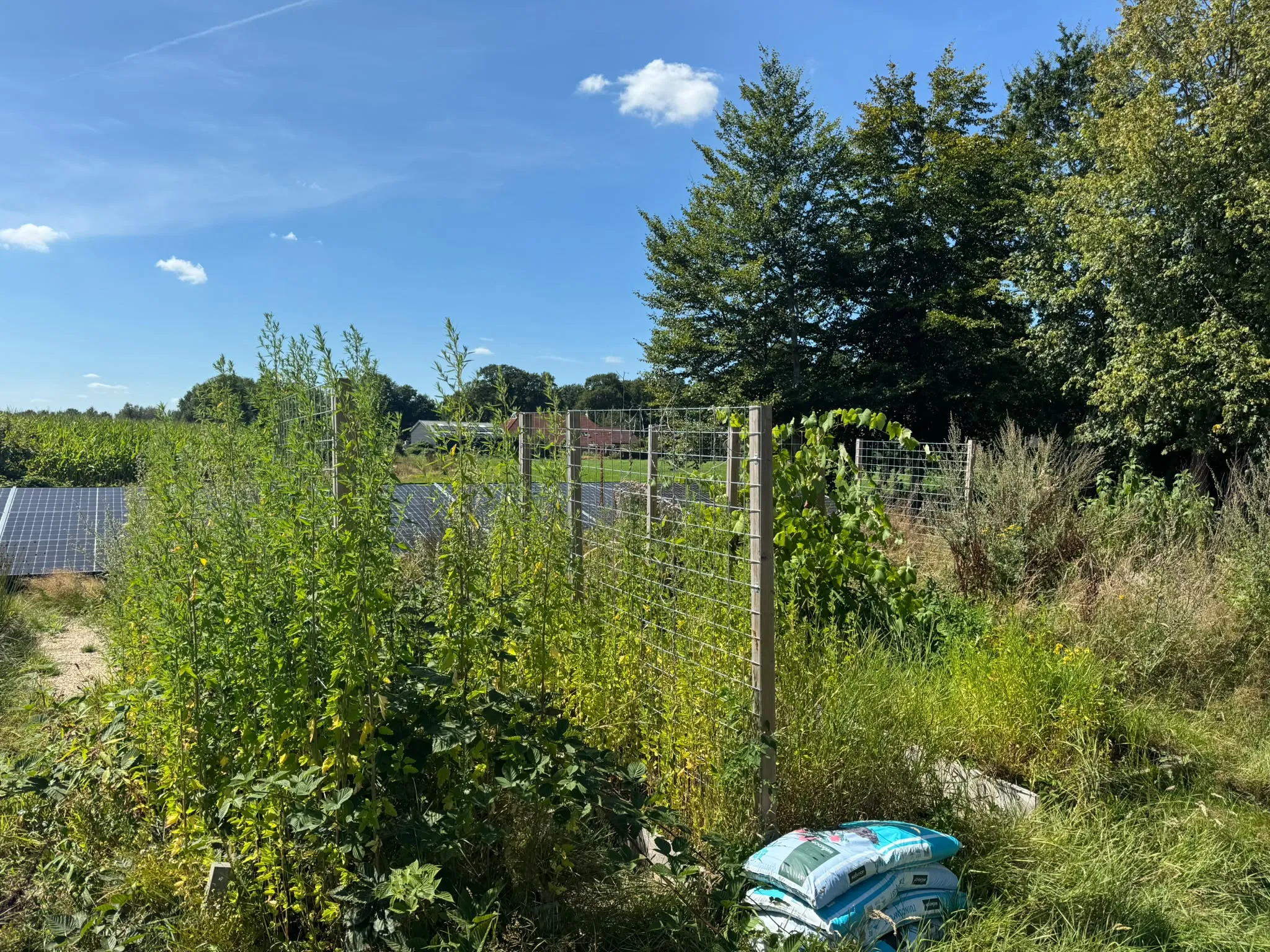 Vegetable Garden